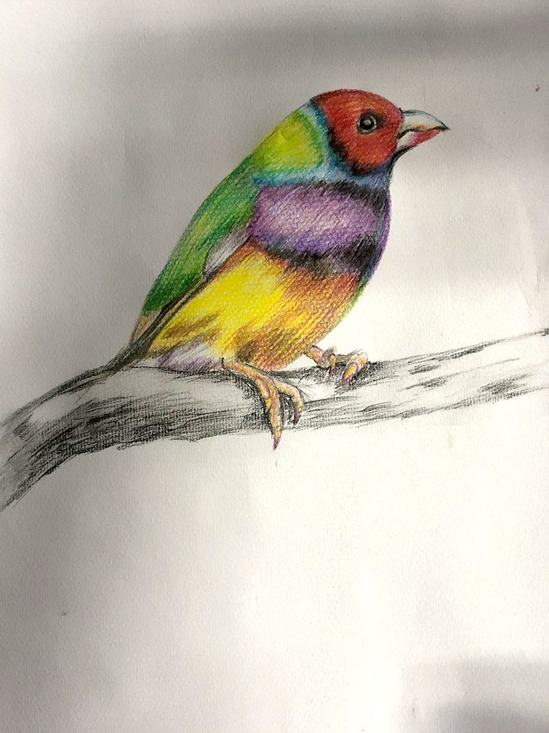 宿遷兒童書法,兒童繪畫,培訓(xùn)